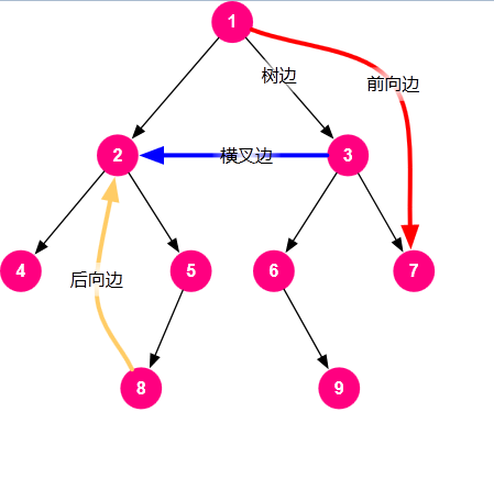 graph-edge-type